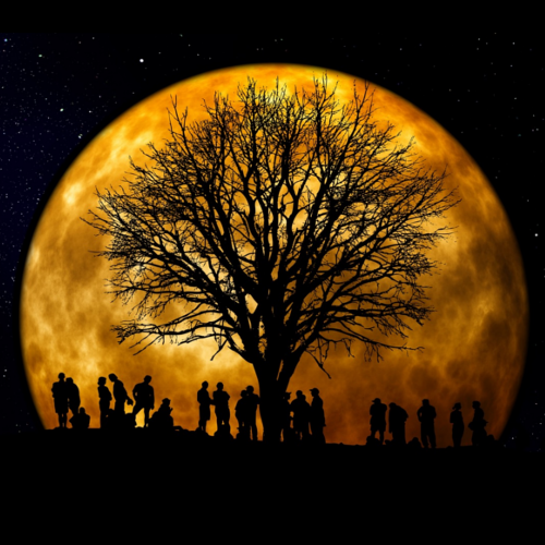 People together by tree of life in front of a bright moon