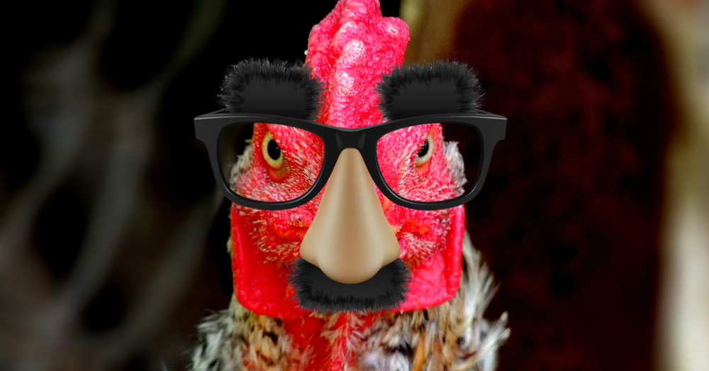 chicken with a mustache disguise