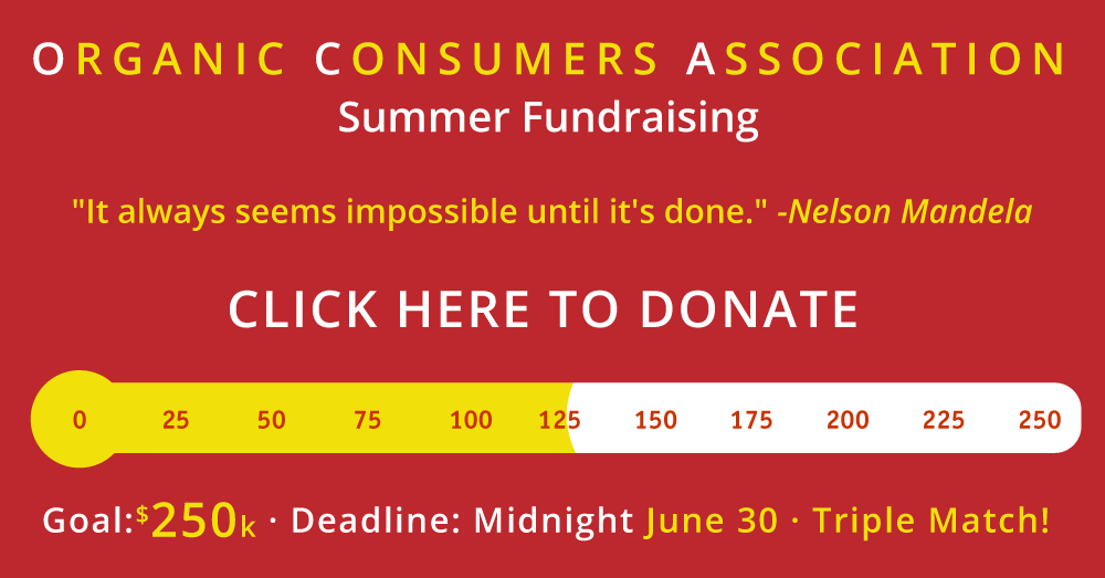 summer 2017 fundraising meter at $125k
