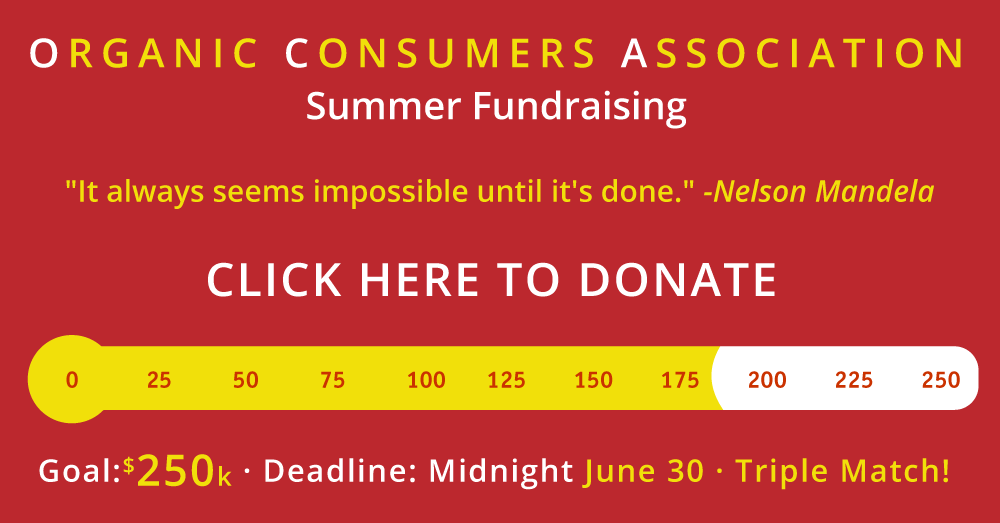 summer 2017 fundraising meter at $180k