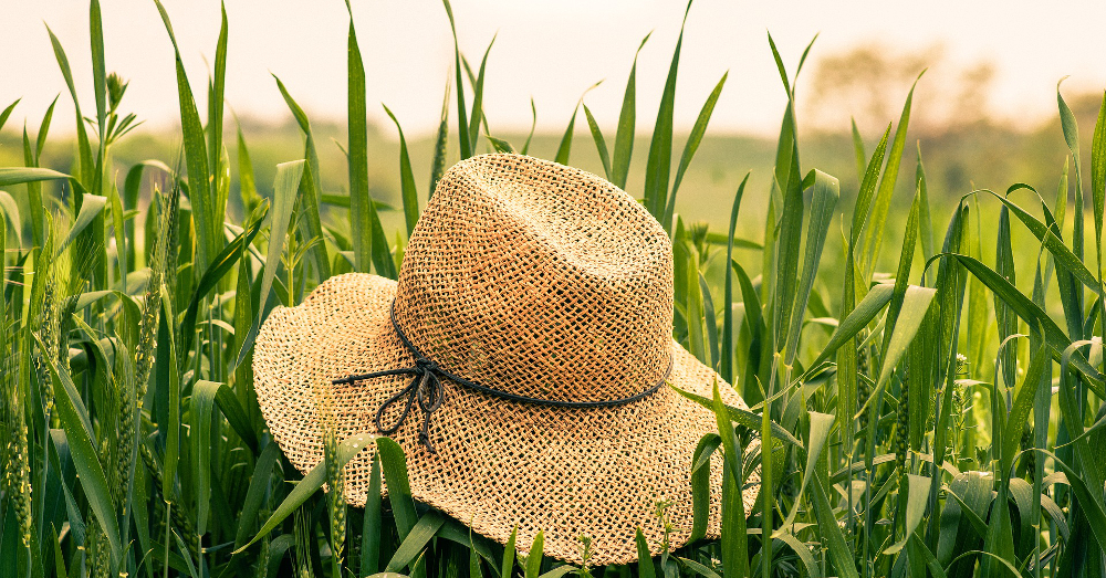 straw hat in a farm field