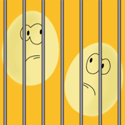 Two eggs in jail