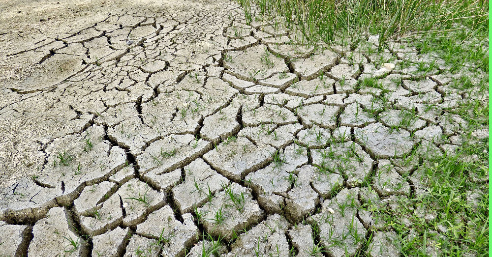 dry cracked earth going through a drought during climate change