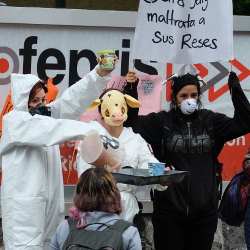Ben and Jerry's protest march and demonstrators in Mexico