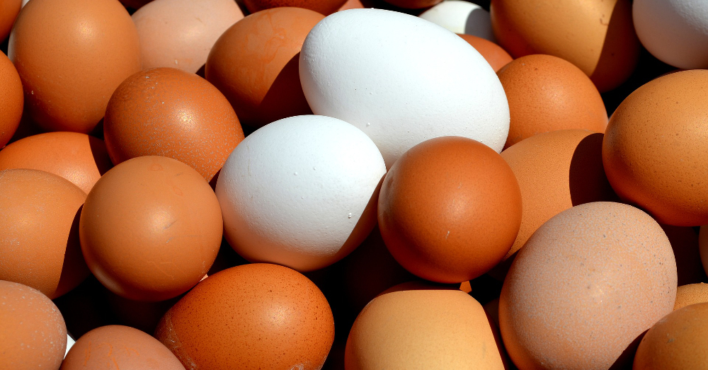 brown and white chicken eggs