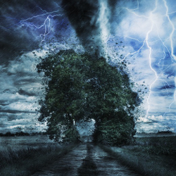 tornado_tree_lightning_250x250