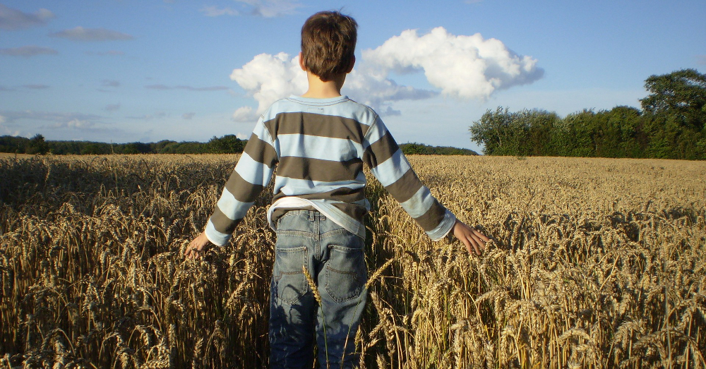 boy standing in a farm field of wheat cereal crop