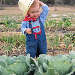 young child in a cabbage field wearing a cowboy hat