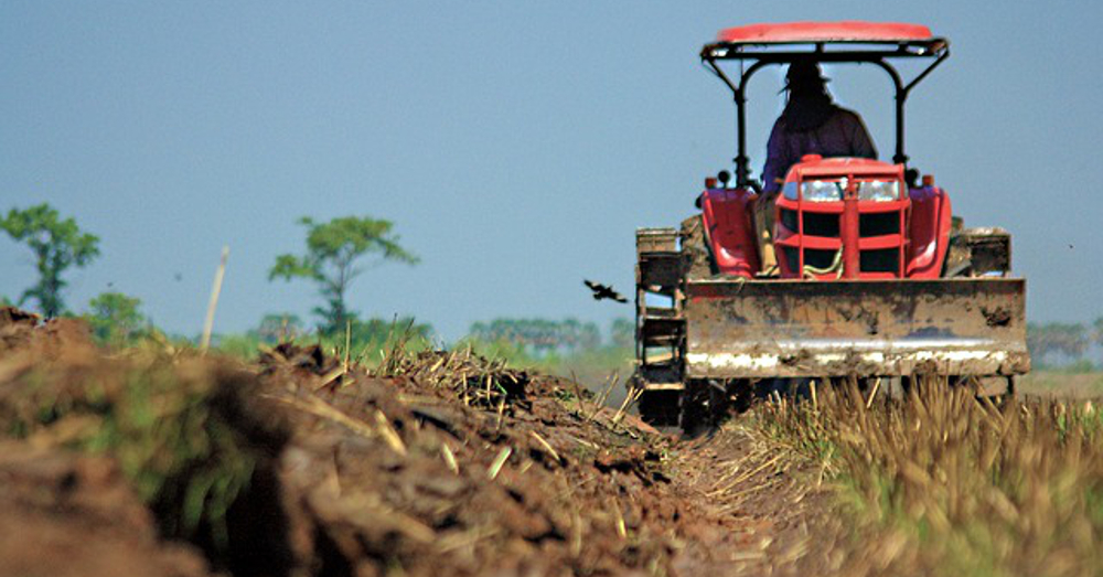 farmer in a red tractor moving along rows of crops in a farm field