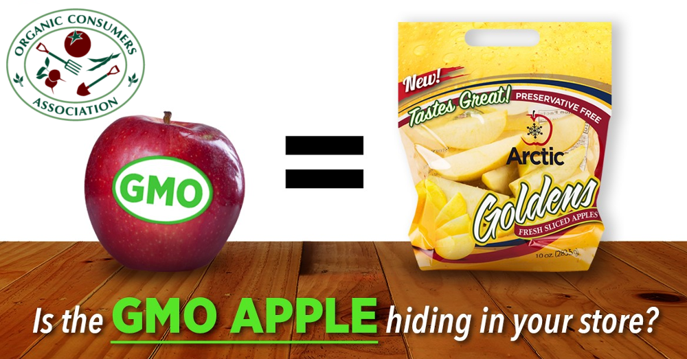 GMO Apple Scavenger Hunt