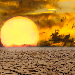 dry desert drought in a hot sunset