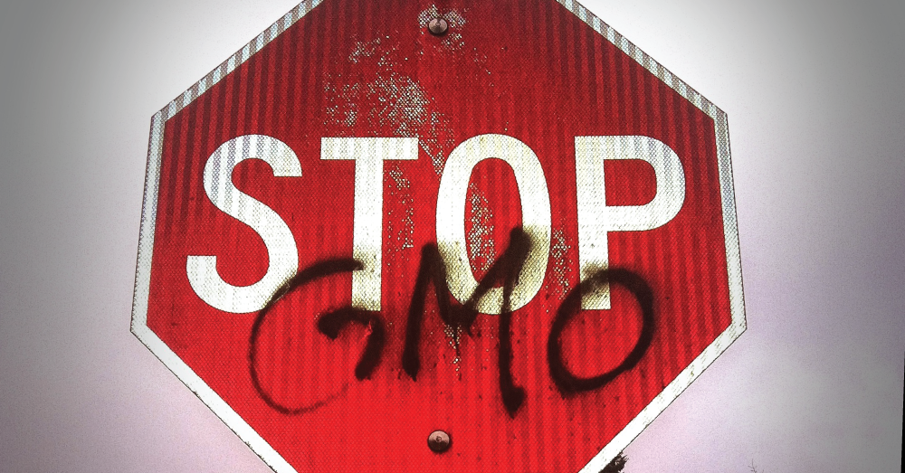 Stop Sign that reads "stop GMOs"