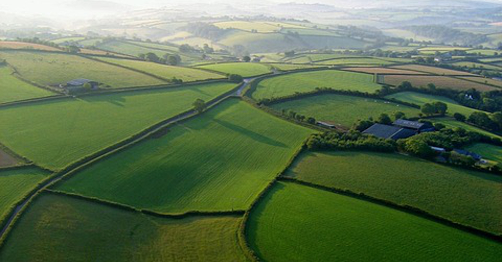 aerial view of agricultural farm fields