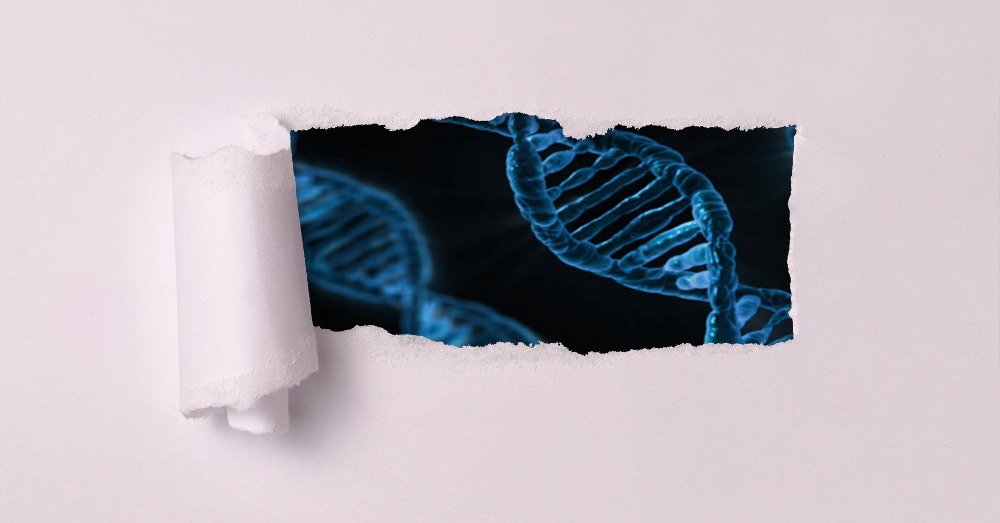 dna genes visible through a ripped hole in paper