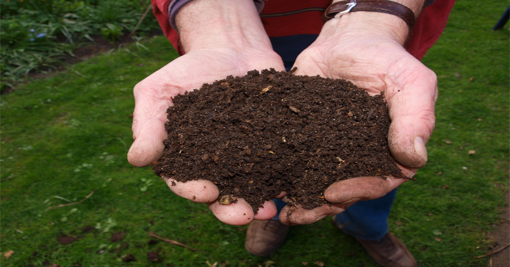 farmer holding a fresh handful of composted soil