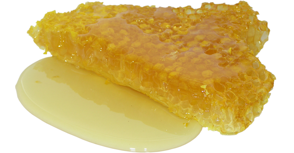 section of honeycomb
