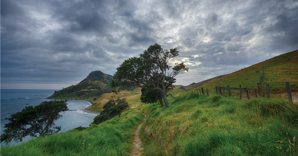 New Zealand landscape.