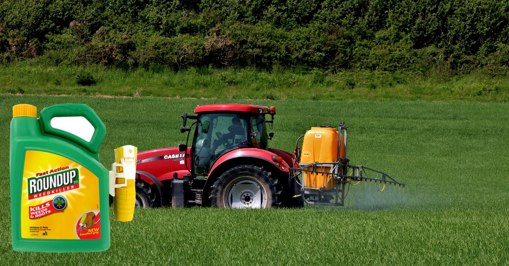 red farm tractor spraying an agricultural field with Monsantos Roundup herbicide
