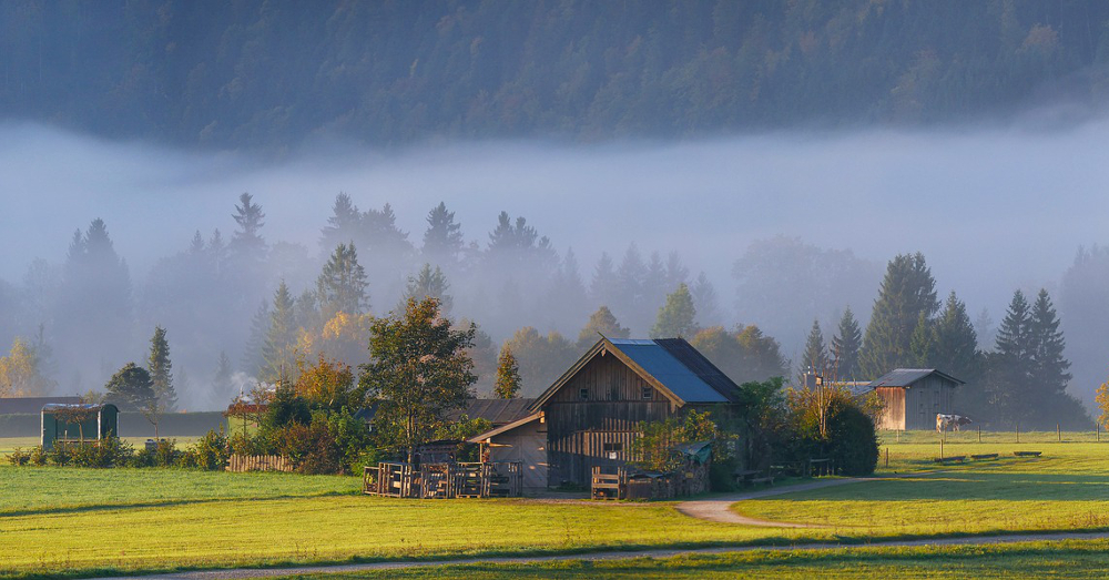 Farm fields and barns in a forest valley covered with a blanket of fog