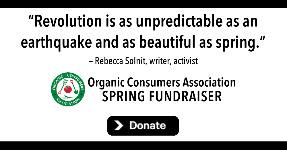 OCA 2018 Spring Fundraiser logo