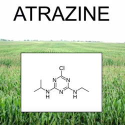Model of atrazine chemical pesticide