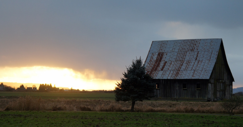 Sunset on a old barn in a field