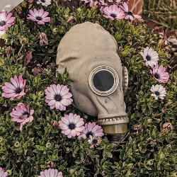 Gas mask amongst a garden of purple flowers