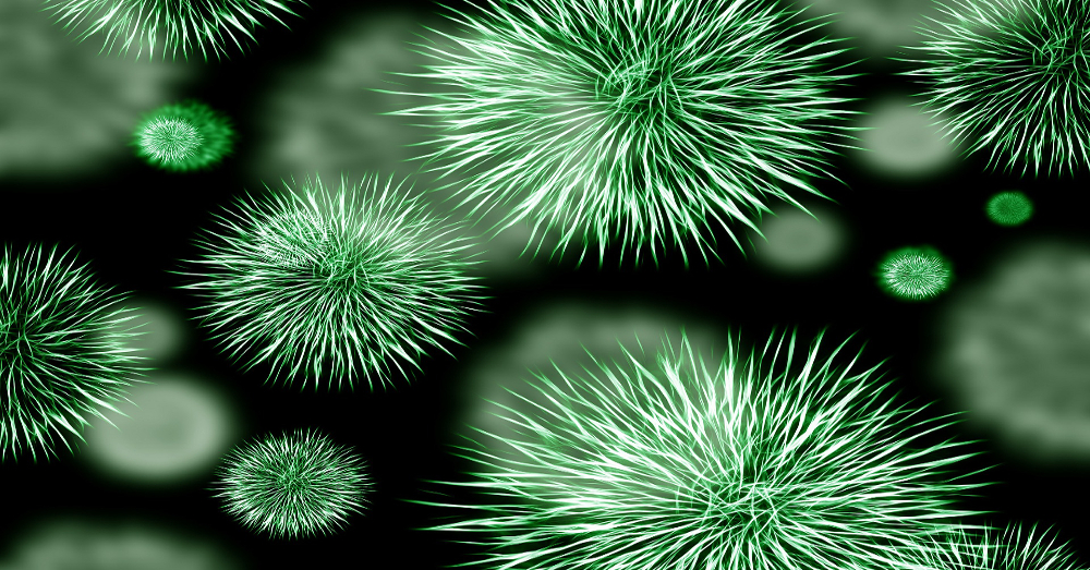 spiky green bacteria cells