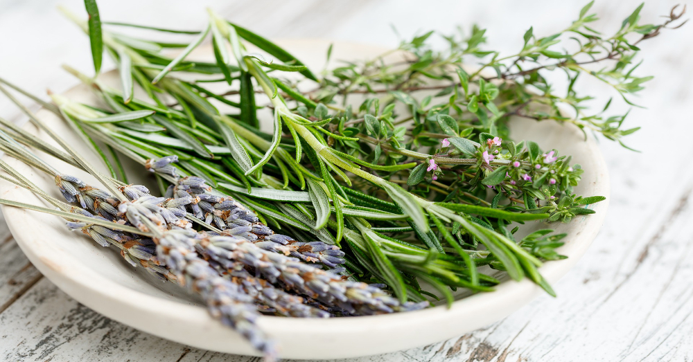 white plate on a whitewashed table including lavender rosemary and thyme