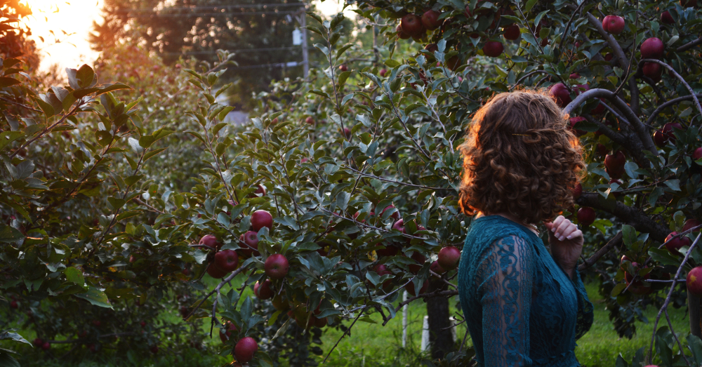 woman walking through an apple orchard at sunset