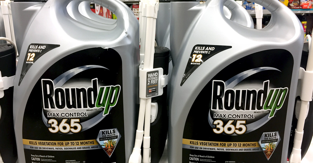 containers of Roundup Max Control weedkiller