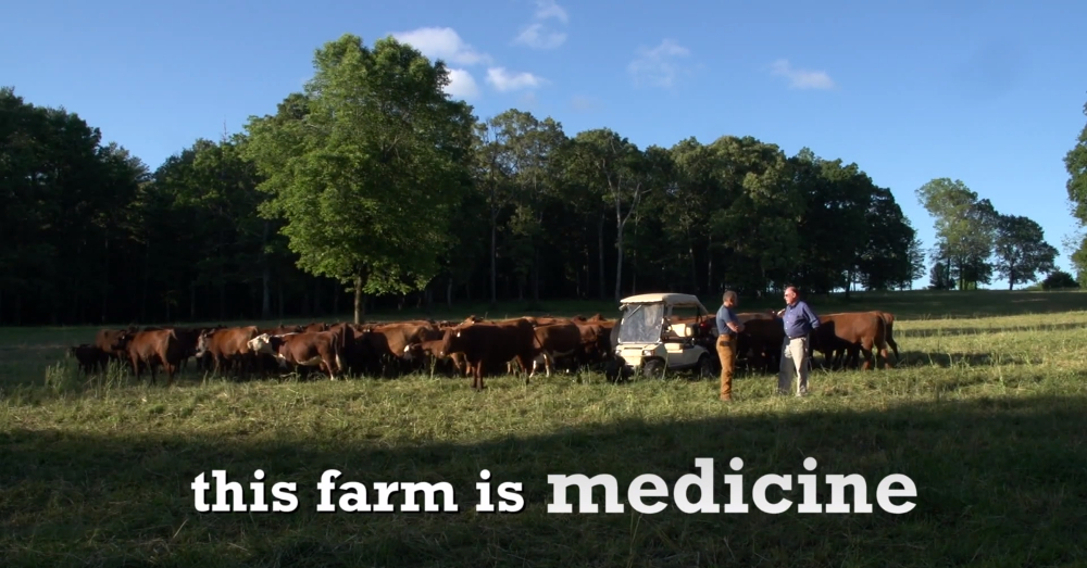 Murray Provine in This Farm is Medicine