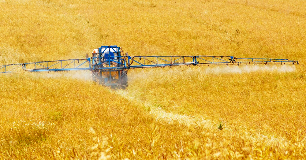 crop sprayer spraying a field before harvest