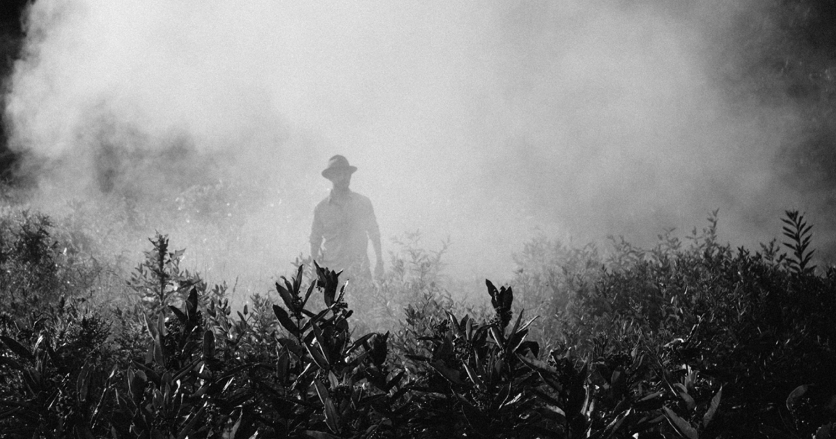 Man walking through pesticides.