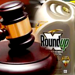 judges gavel beside a jug of Monsantos Roundup herbicide