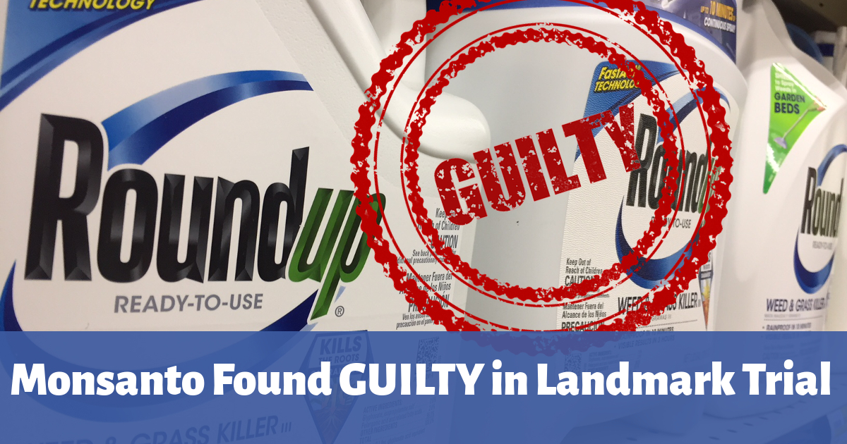 red GUILTY stamp over a blue bottle of Monsantos Roundup herbicide