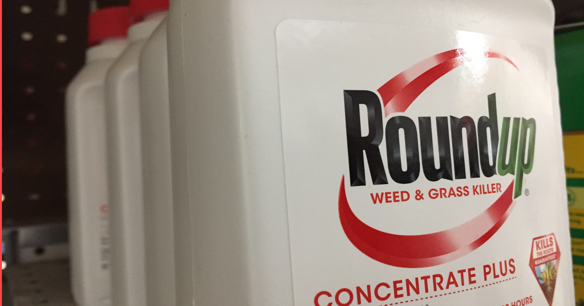 red bottle of Monsantos Roundup herbicide stocked on a store shelf