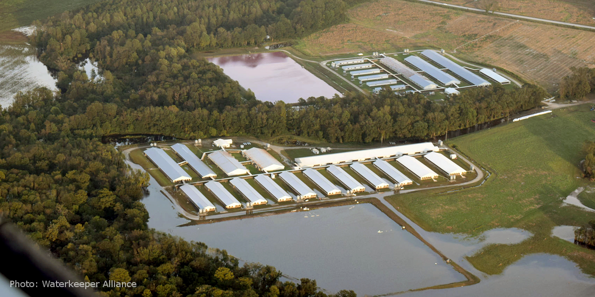 Image by Waterkeeper Alliance of factory farm manure lagoon and cafo during Hurricane Florence