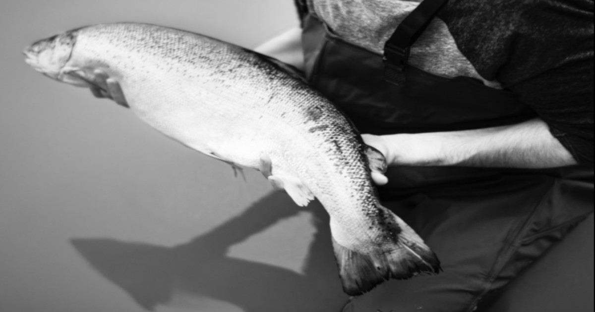 black and white image of a man holding a salmon fish