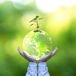 pair of hands holding a translucent planet earth with a small seedling tree plant growing out the top