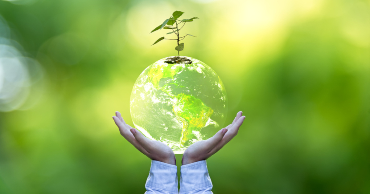 two hands holding a planet Earth sphere that has a small green tree seedling growing out of it