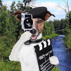 small dog in a director beret with a camera and clap board in front of a wooded river