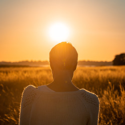 woman sitting in a farm crop field with her back to the camera facing the sunrise