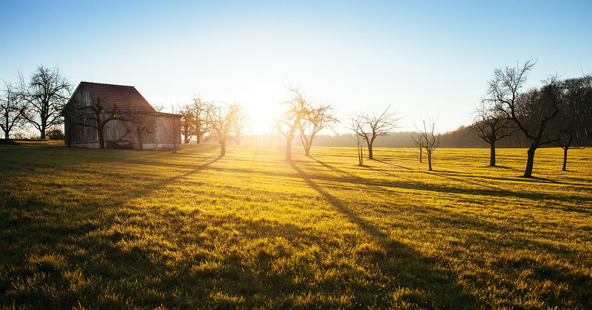 barn and trees in a farm field at sunrise