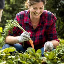 smiling woman in a garden harvesting carrots
