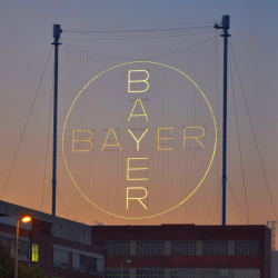 logo for Bayer in neon lights against a sunset