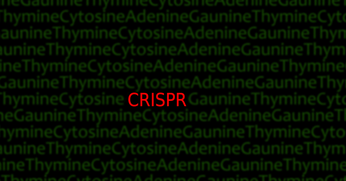 CRISPR genetic modifications