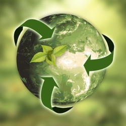 green planet earth with recycling arrows surrounding it and topped with leaves