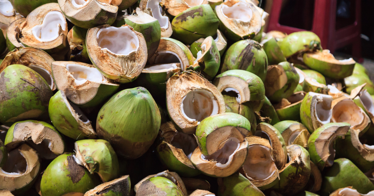 coconut shell and husk agricultural waste