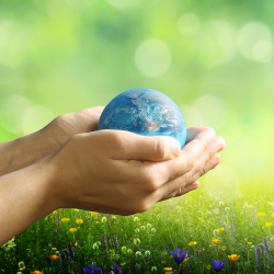 persons hands holding a small globe of the earth in a meadow with grass and tiny flowers
